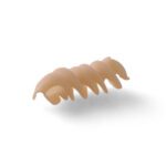 Fusillone Gigante Senatore Cappelli BIO