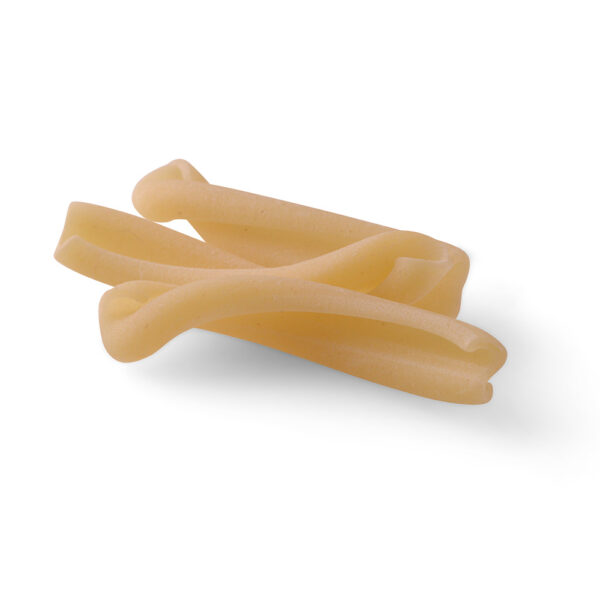 Gemelli Senatore Cappelli BIO