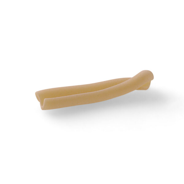 Gemelli Senatore Cappelli BIO